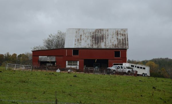 Les meilleures façades de box pour chevaux : guide d'achat