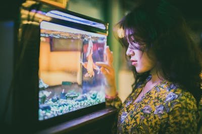 Blog sur l'aquariophilie : guide pratique pour un aquarium sain
